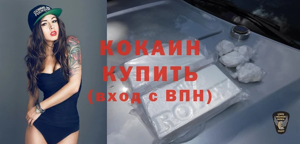 винт Гусев