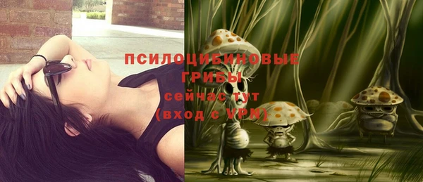 винт Гусев
