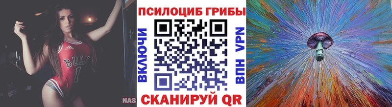 дарнет шоп  omg как войти  Галлюциногенные грибы мухоморы  Артём 